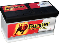Аккумулятор Banner Power Bull PRO (100 Ah) P10040