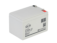 Аккумулятор SKN 6-DZF-12 (12V12Ah) C2