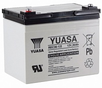 Аккумулятор YUASA REC36-12I (36 Ah)