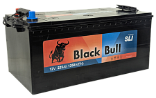 Аккумулятор BLACK BULL (225 Ah) (3) D6